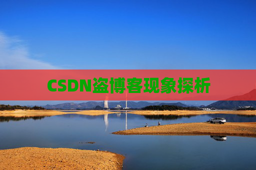 CSDN盗博客现象探析